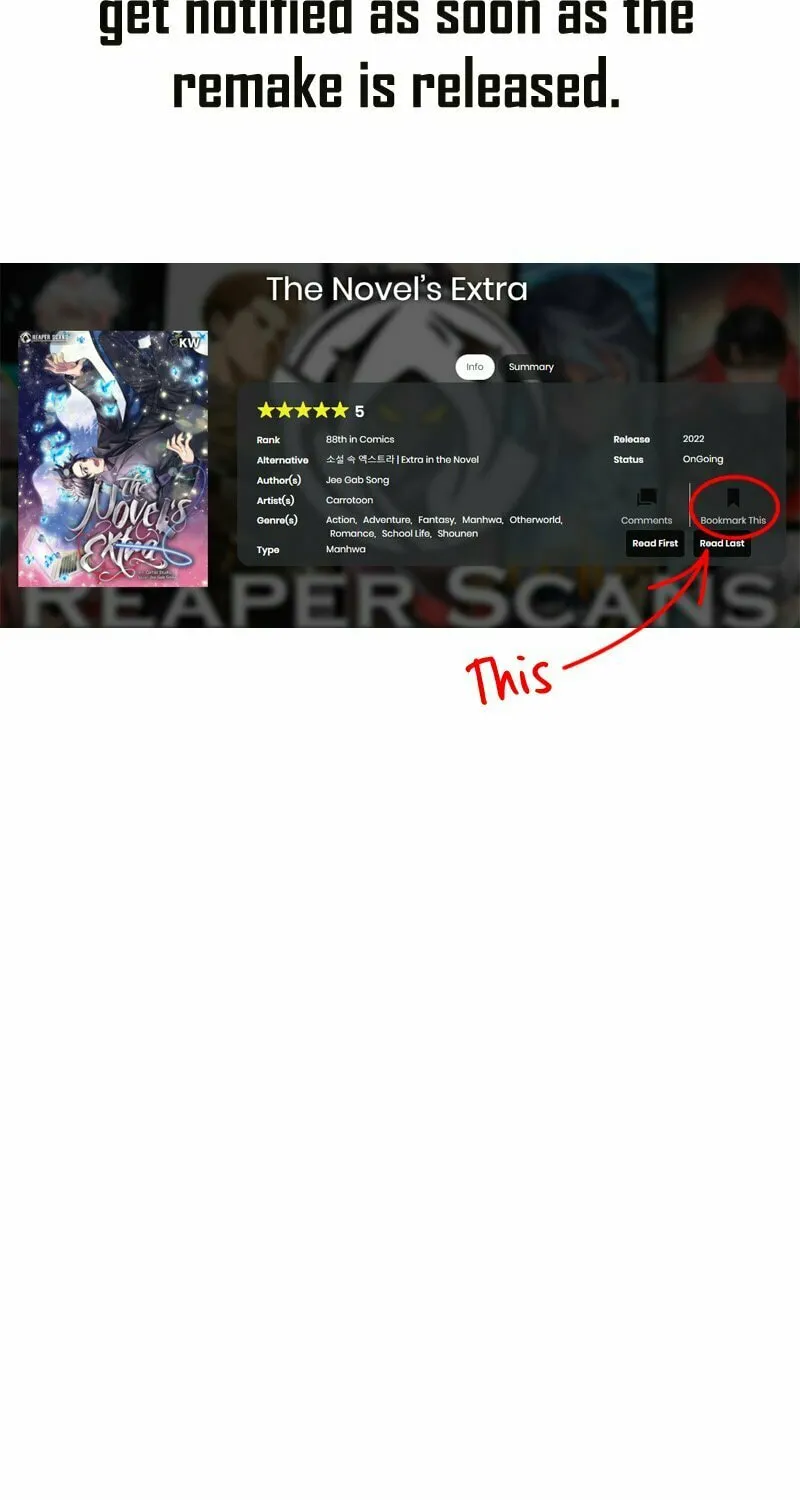The Novel