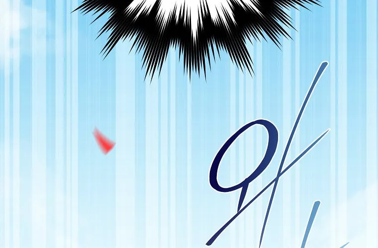 The Novel