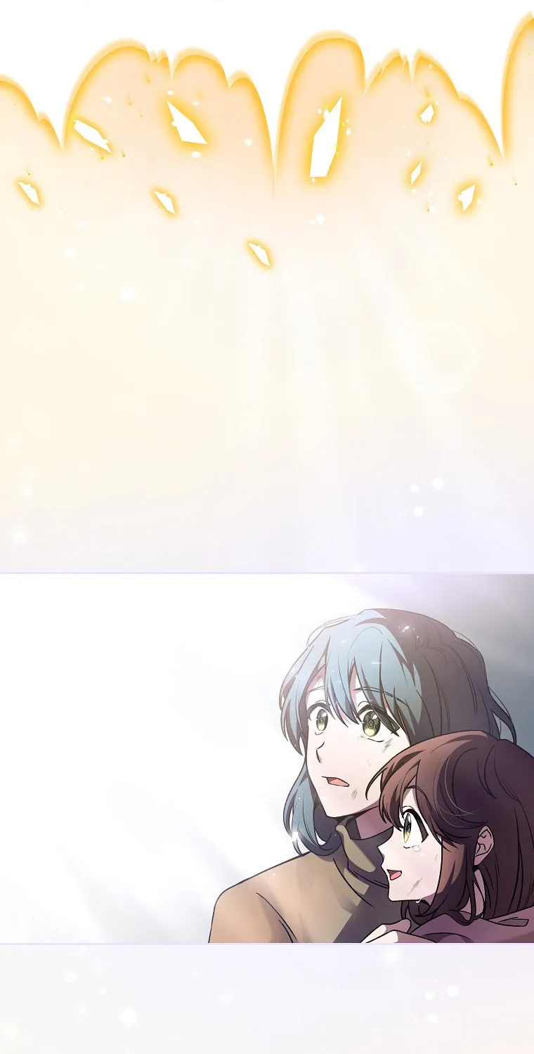 The Novel