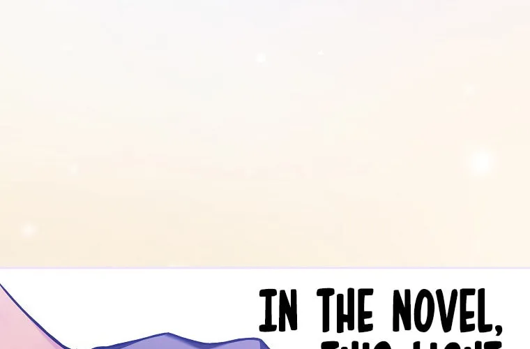 The Novel