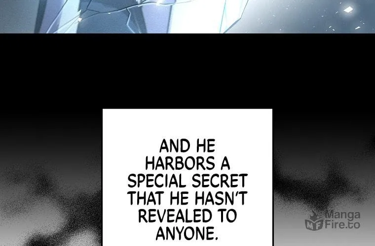 The Novel