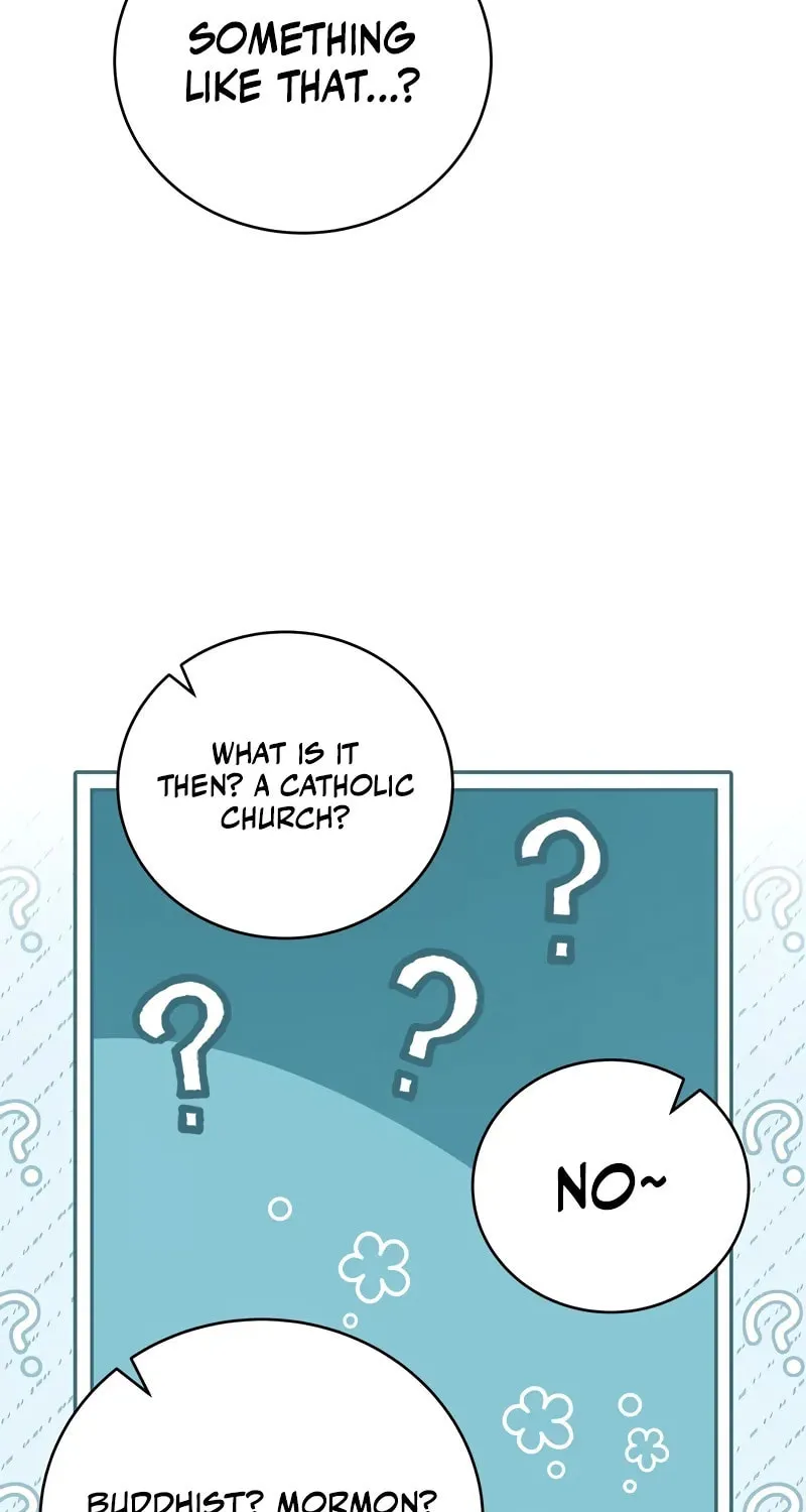 The Novel