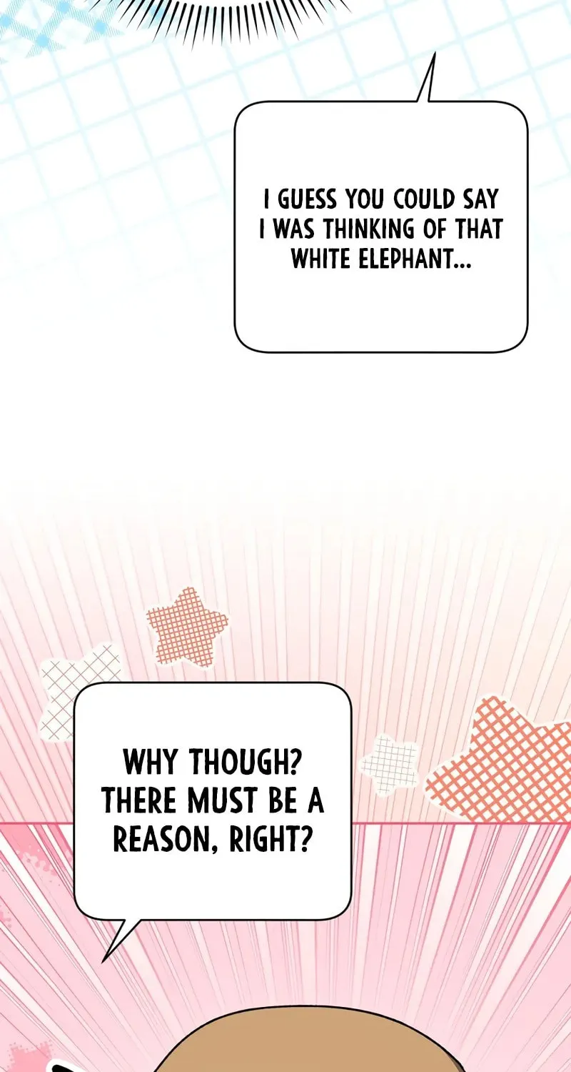 The Novel