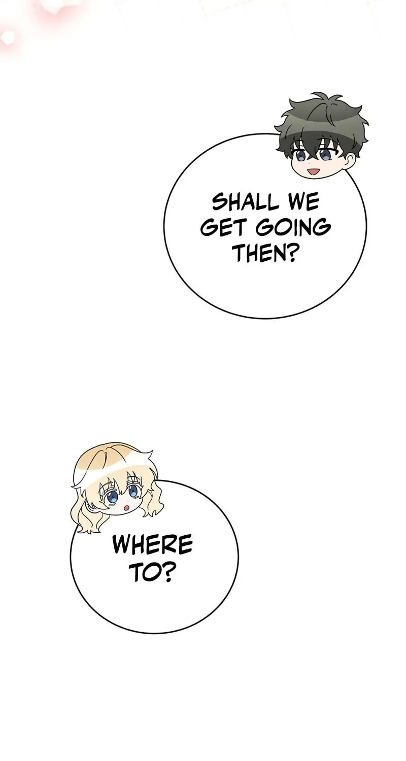 The Novel