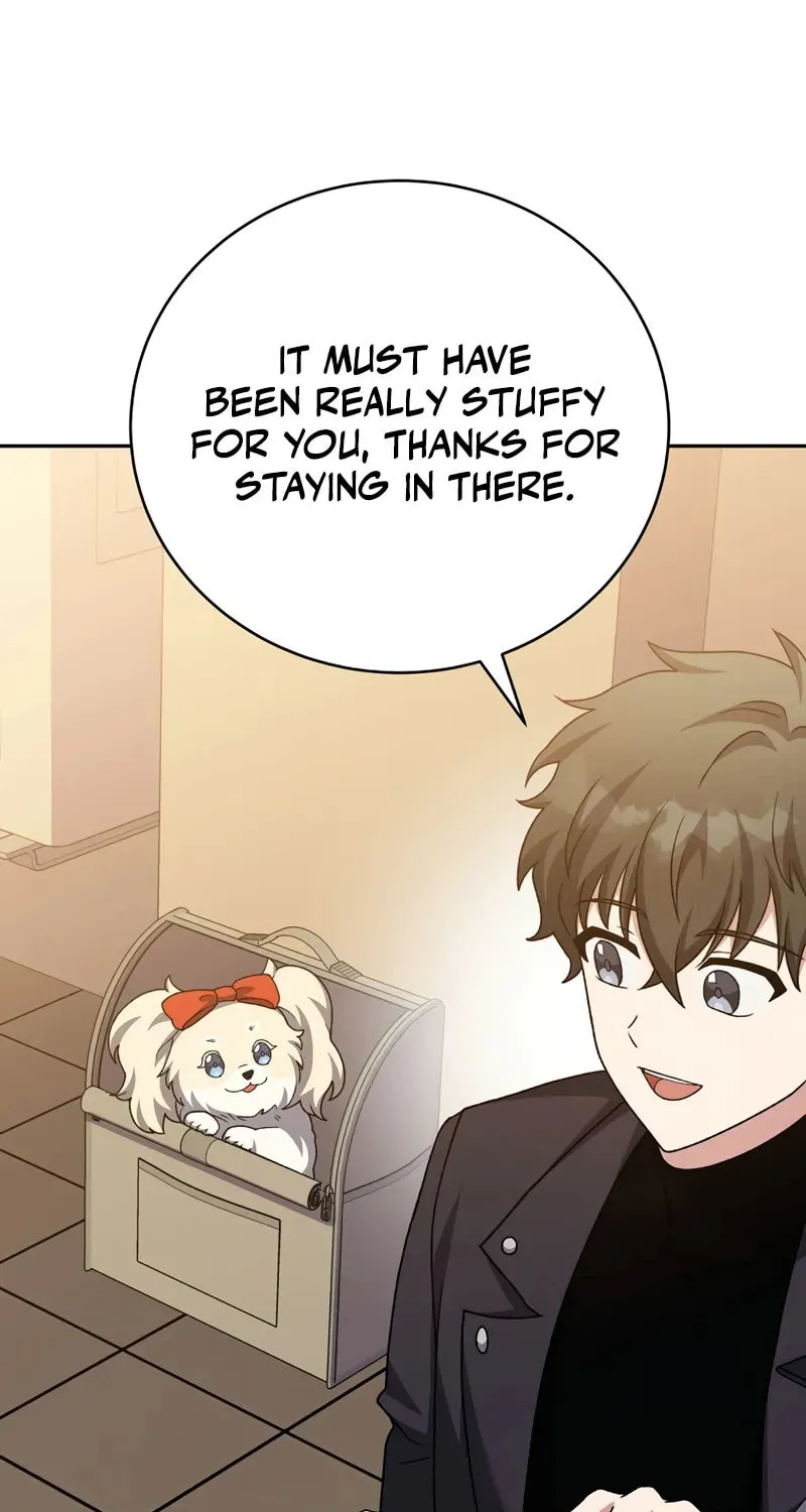 The Novel