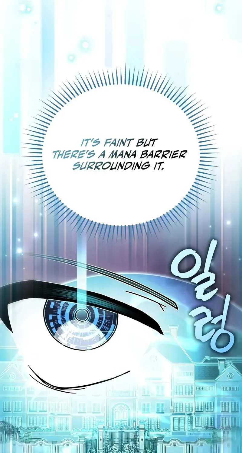 The Novel