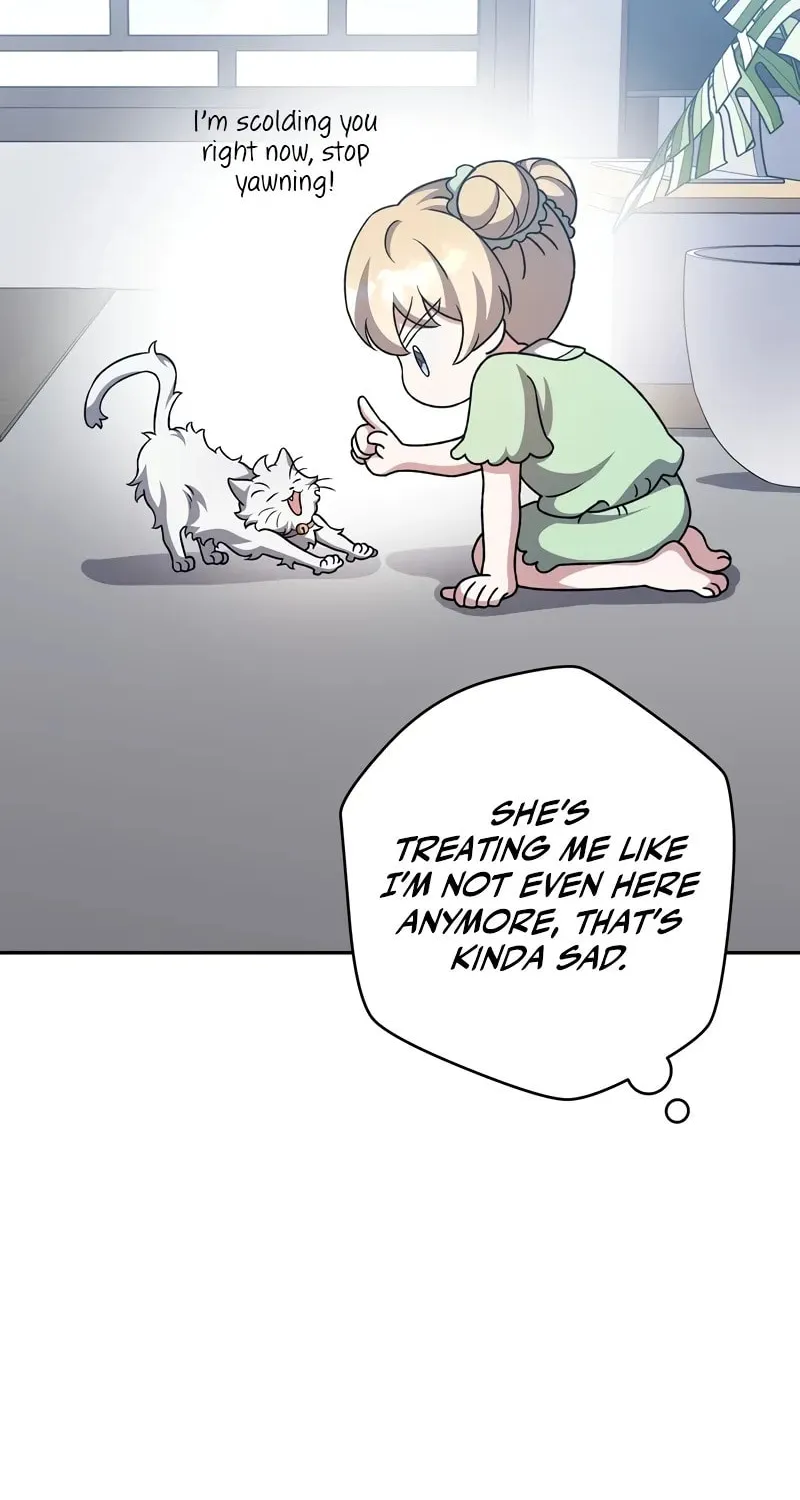 The Novel