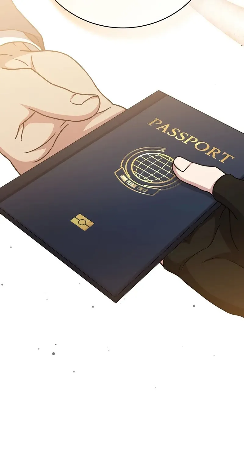 The Novel
