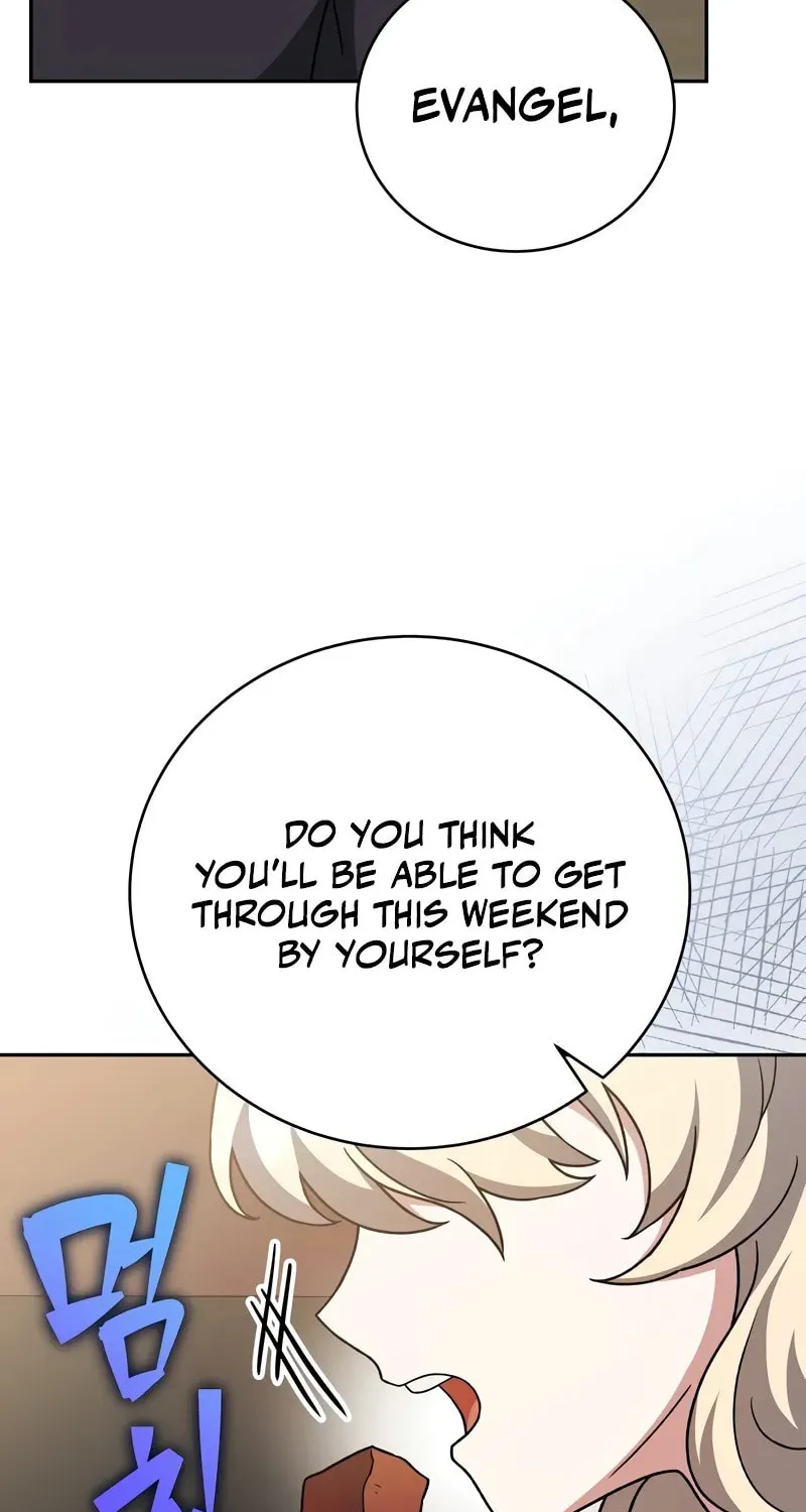 The Novel