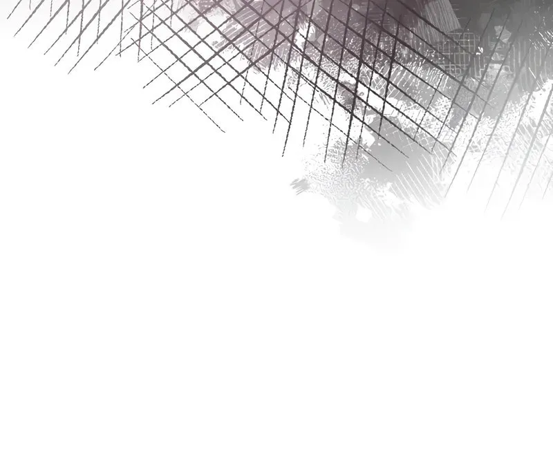 The Novel