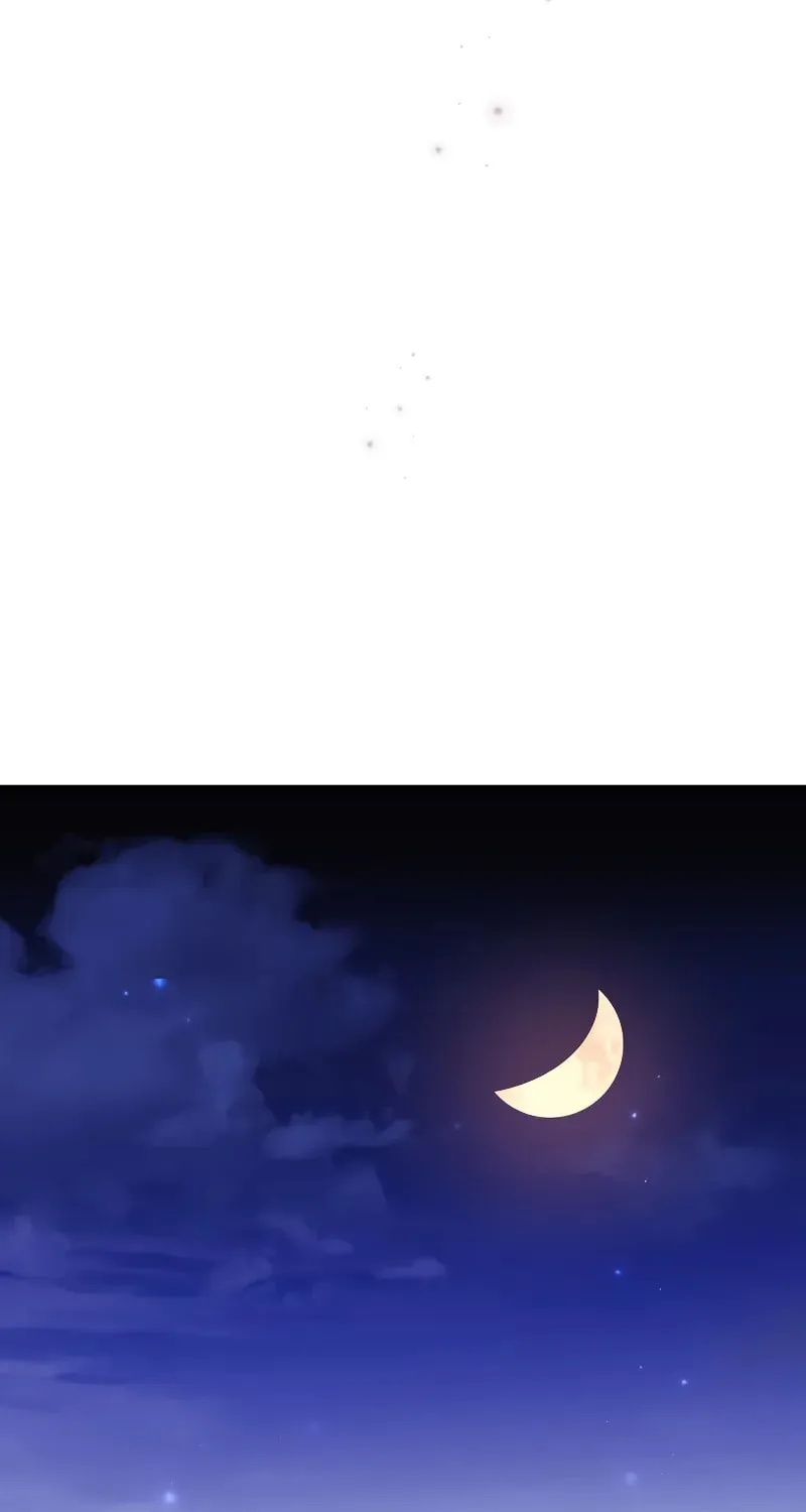 The Novel