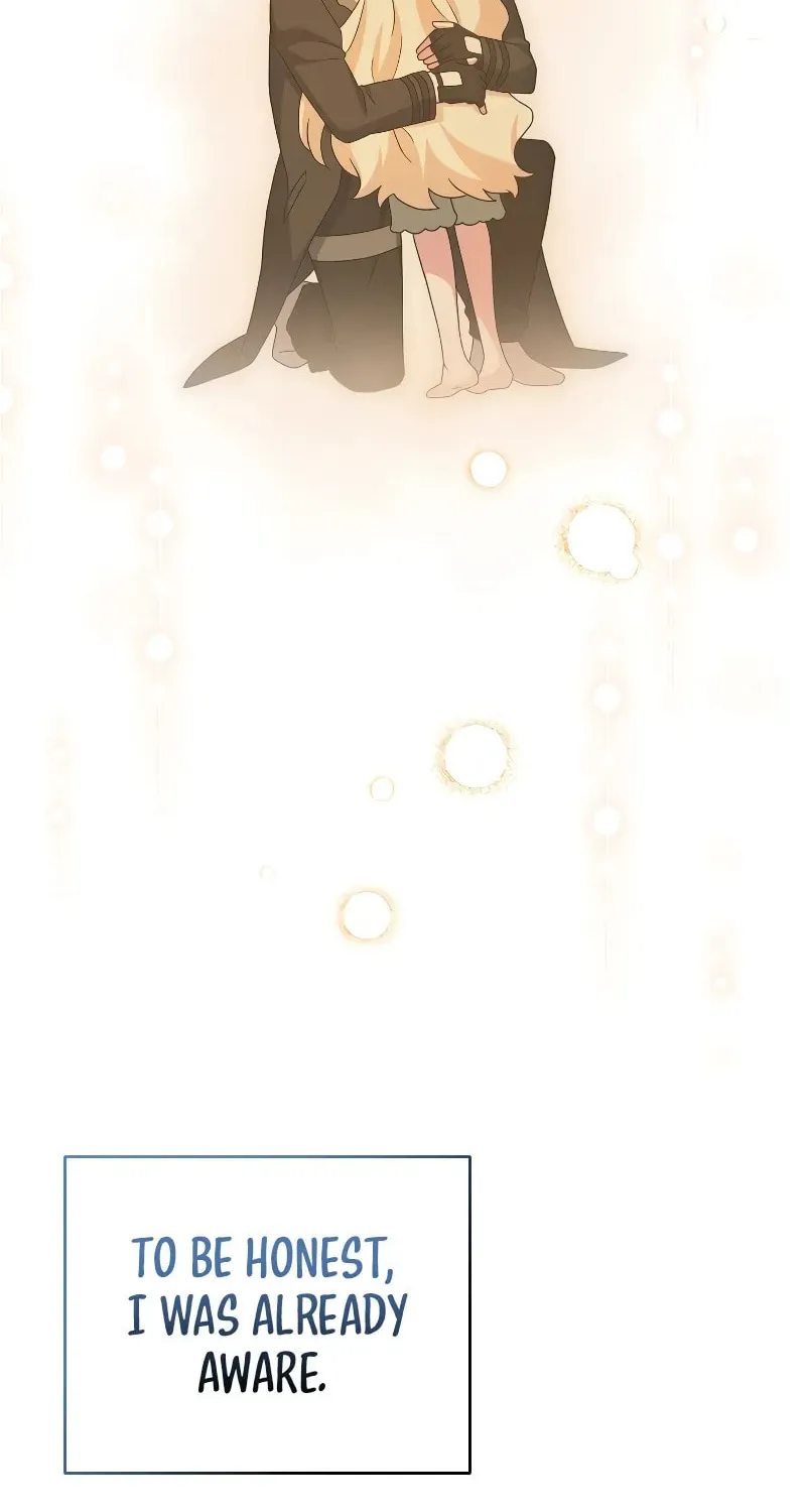 The Novel