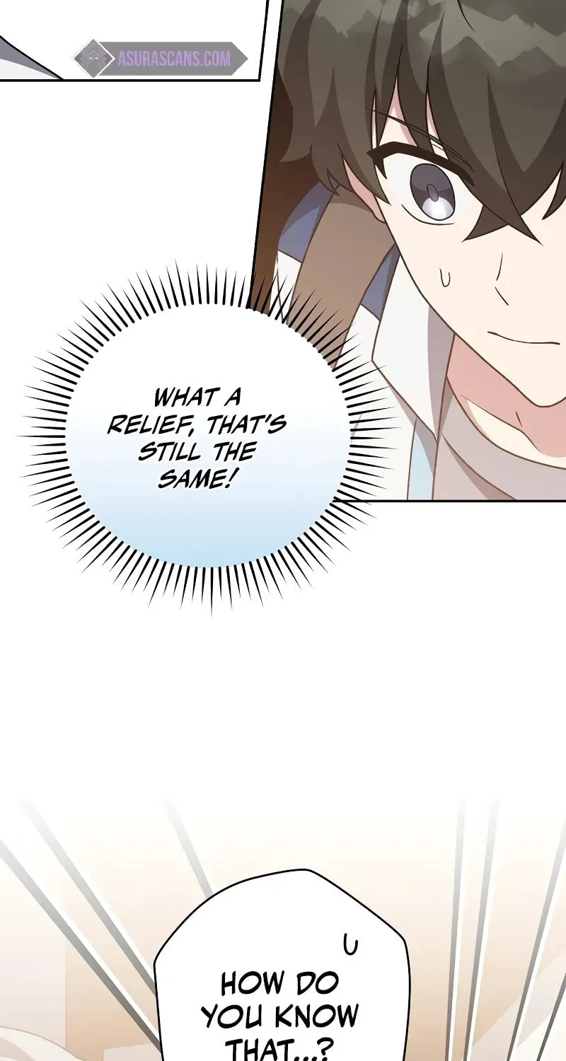 The Novel