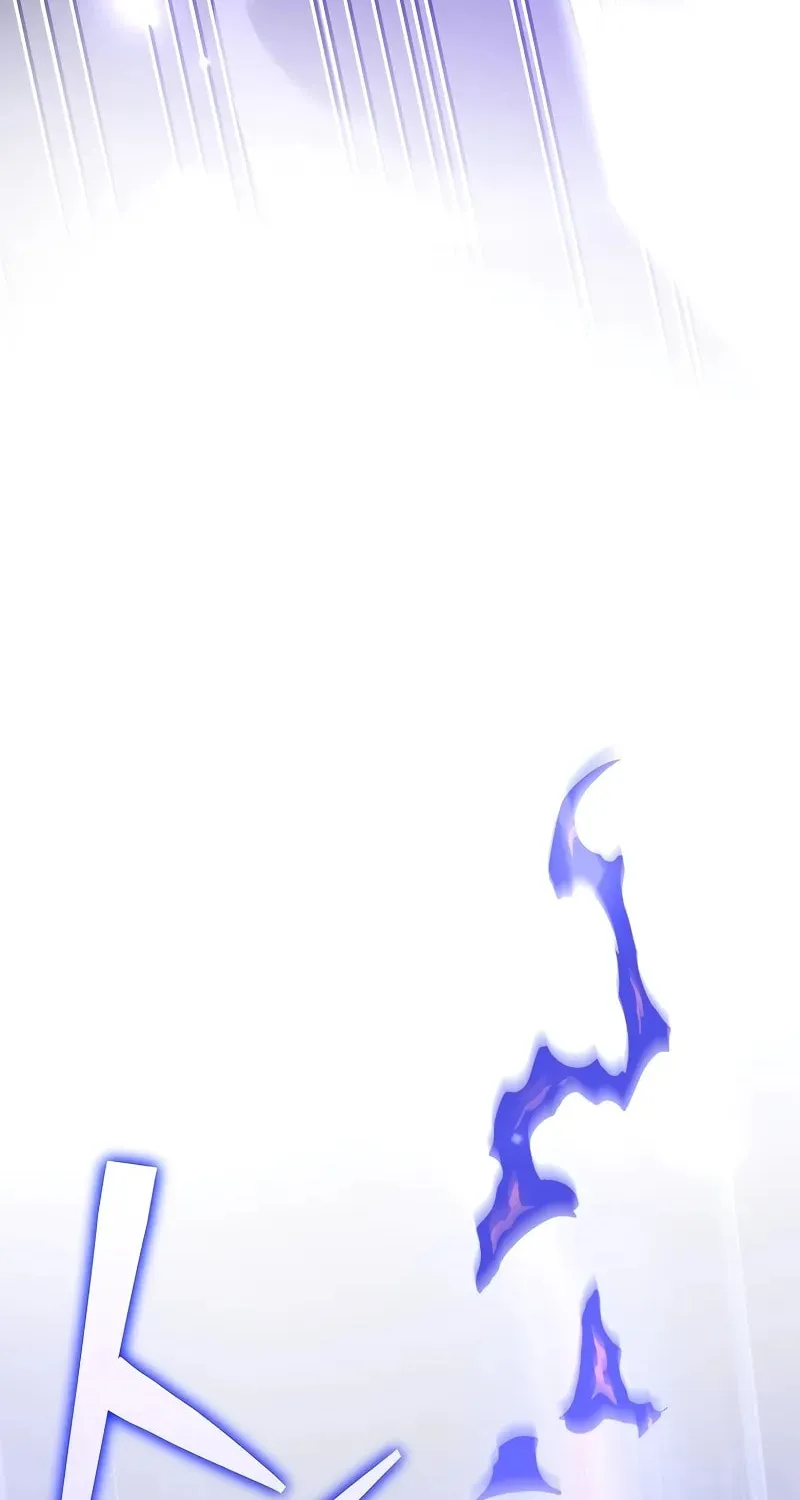 The Novel