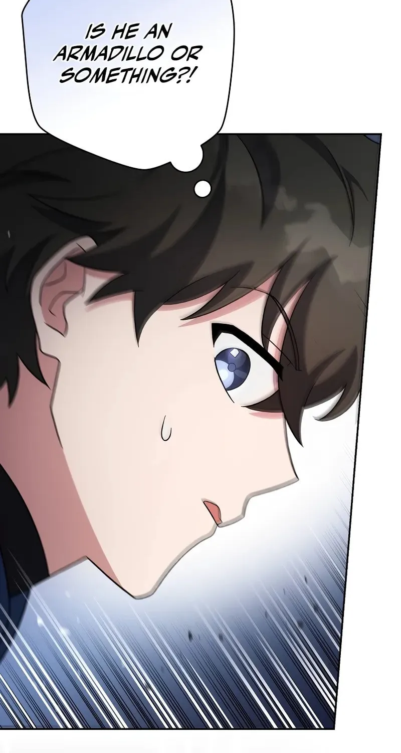 The Novel