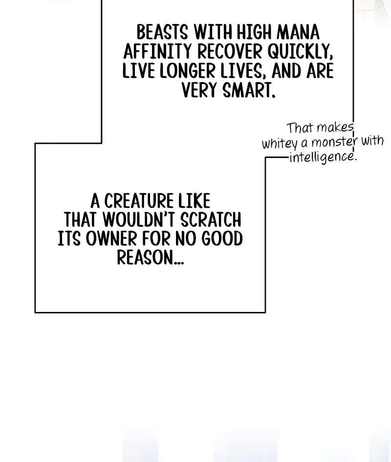 The Novel