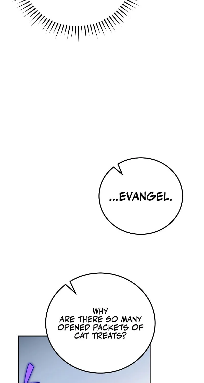 The Novel