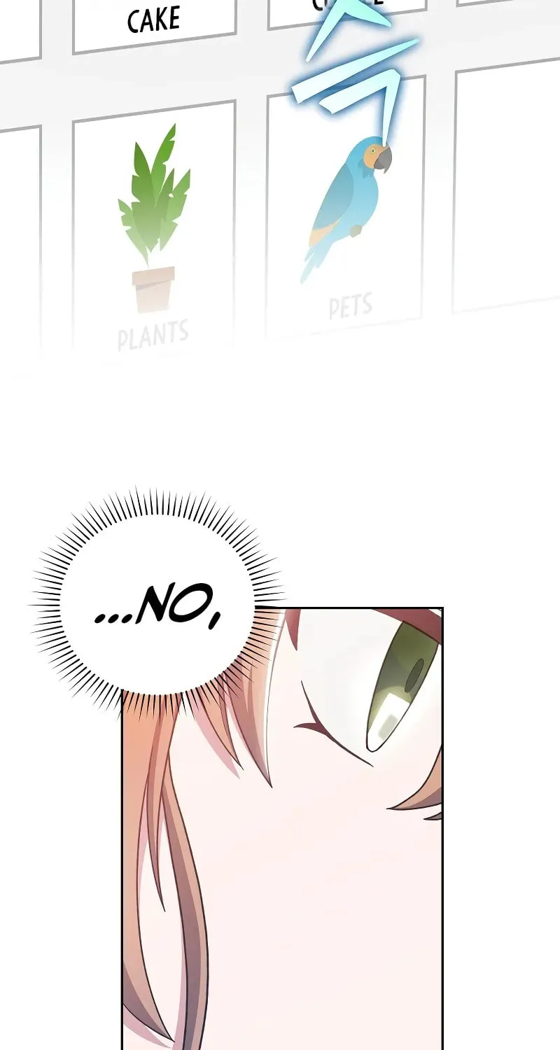 The Novel
