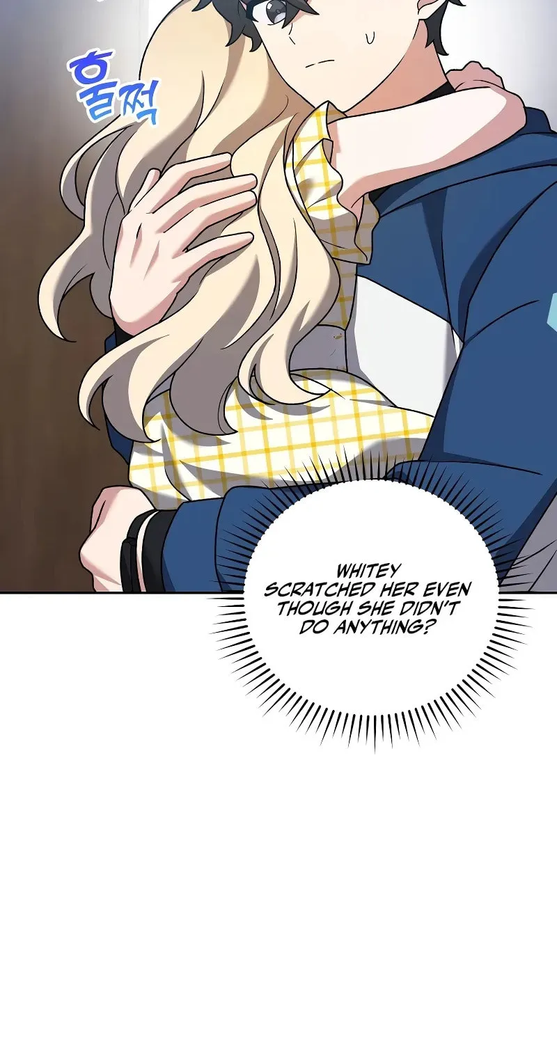 The Novel