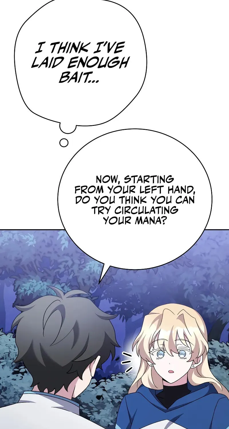 The Novel
