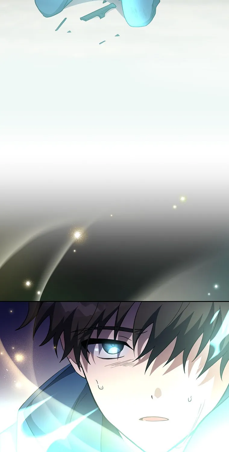 The Novel