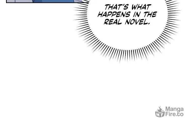 The Novel