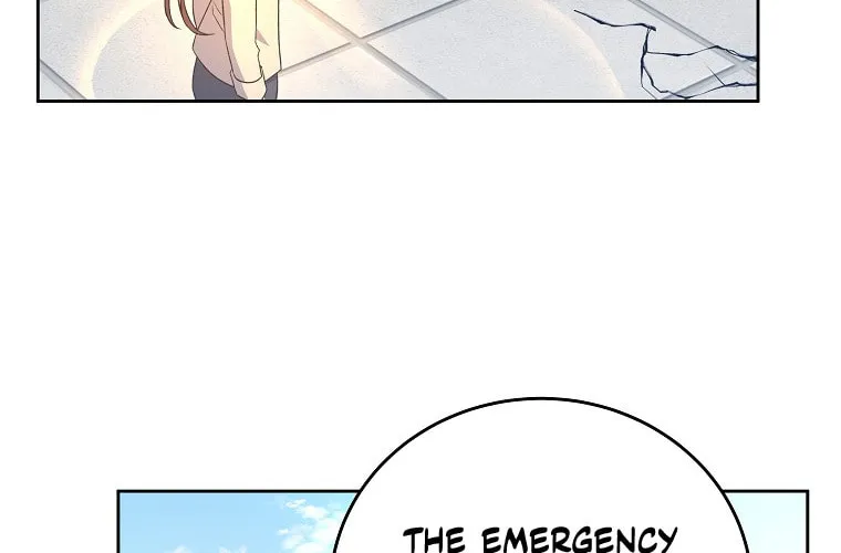 The Novel
