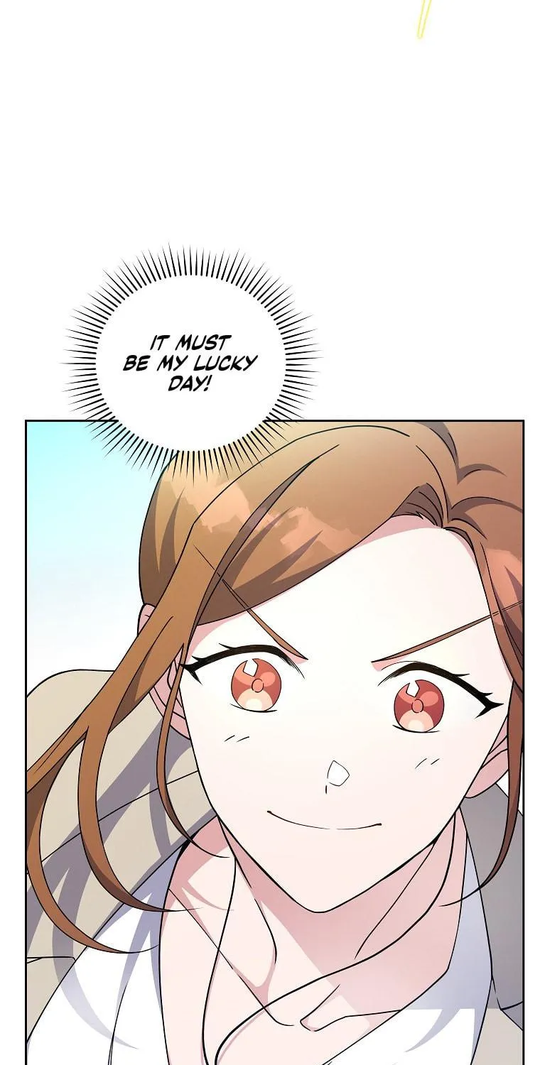 The Novel