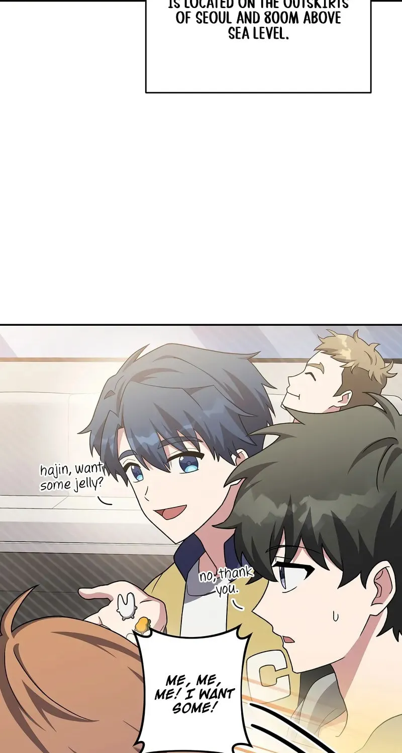 The Novel