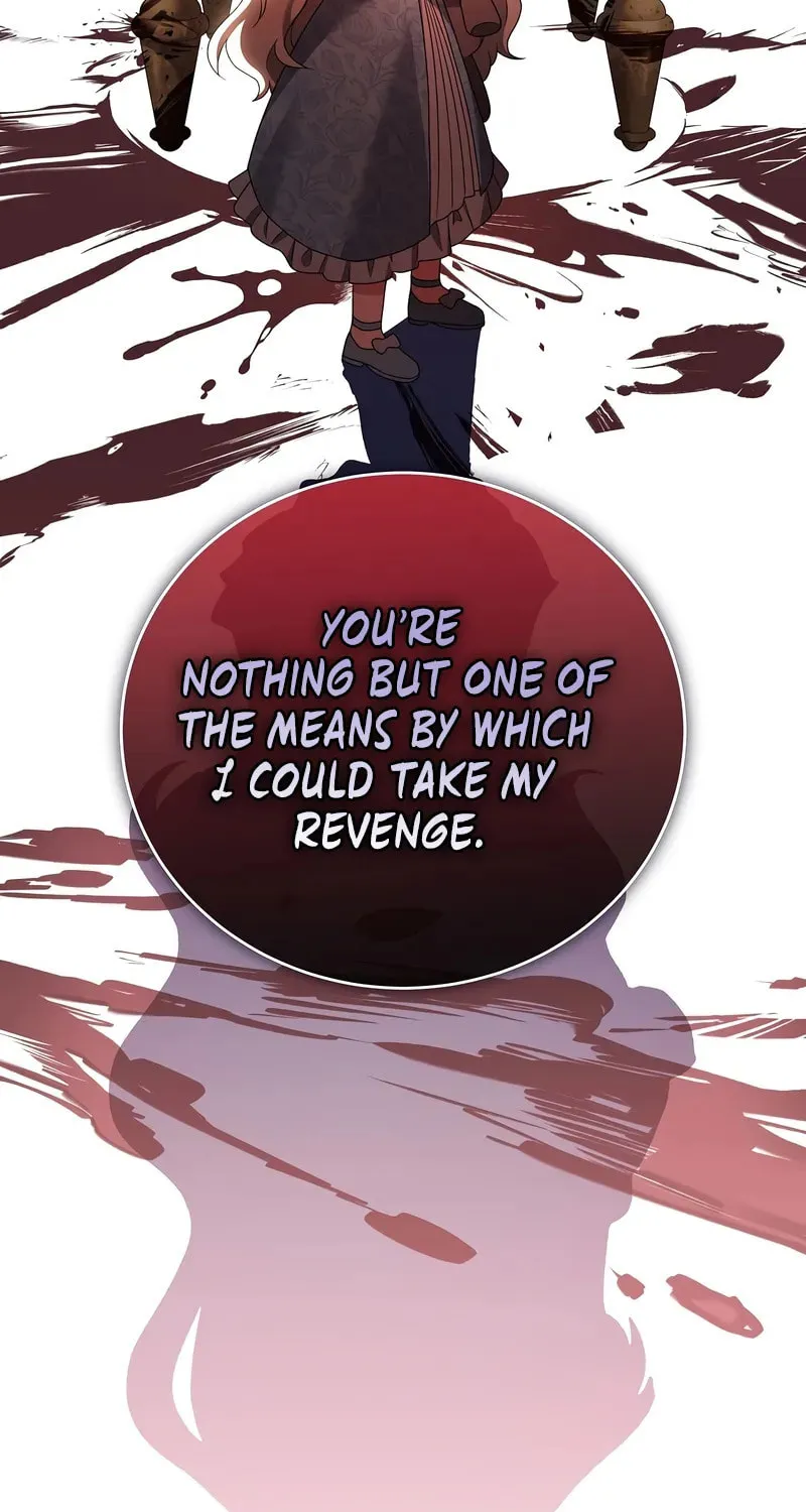 The Novel