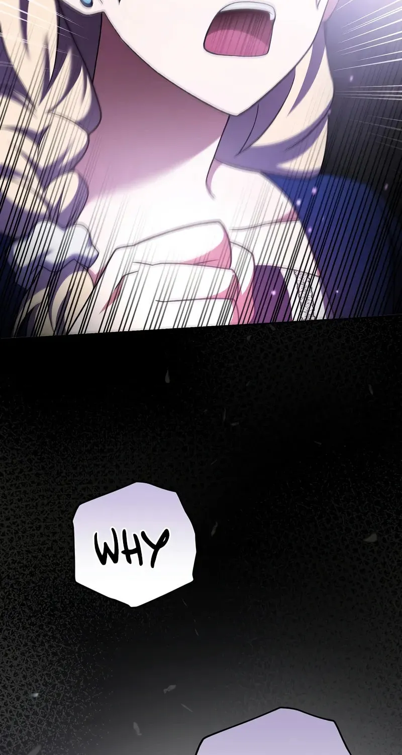 The Novel