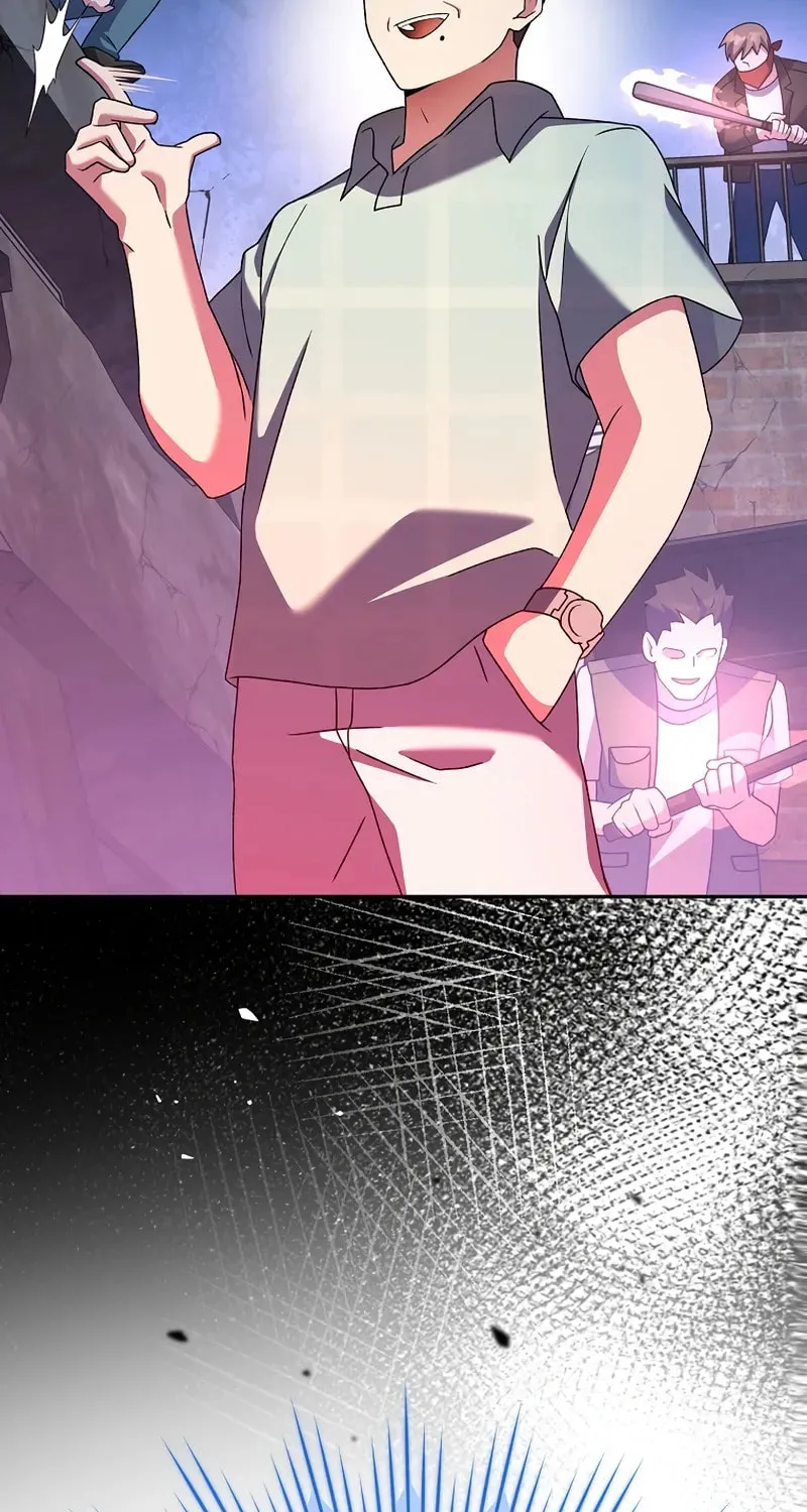 The Novel