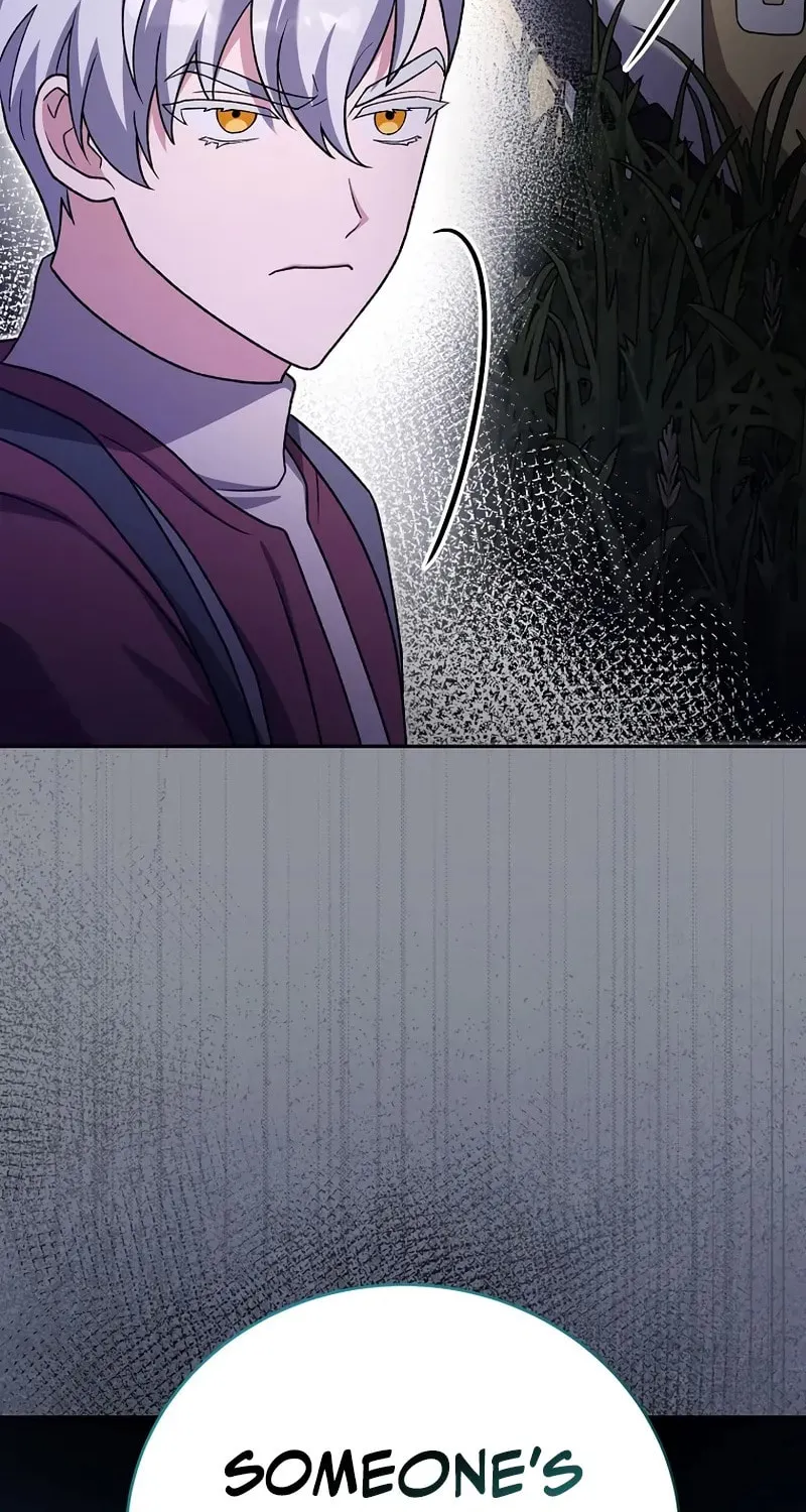 The Novel