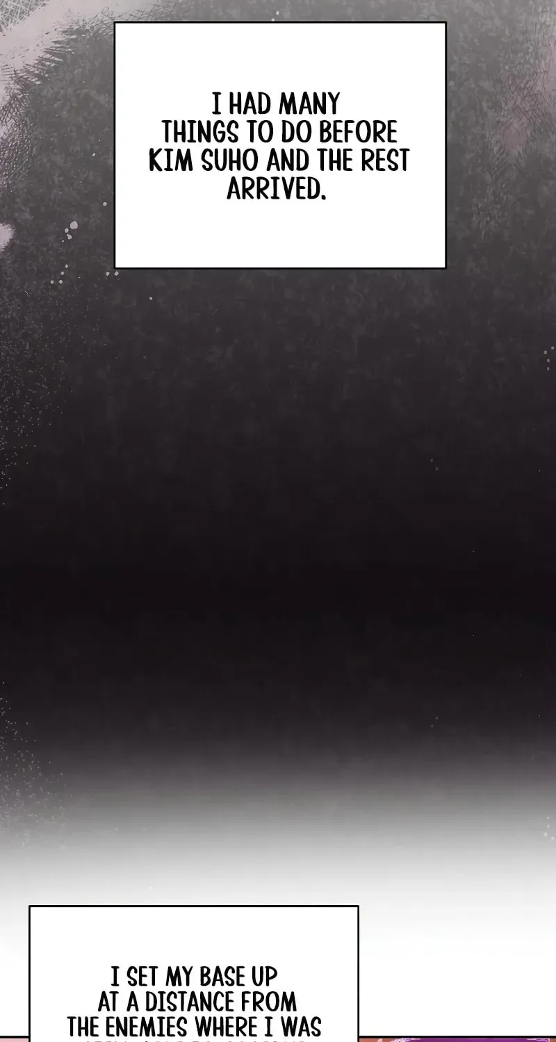 The Novel