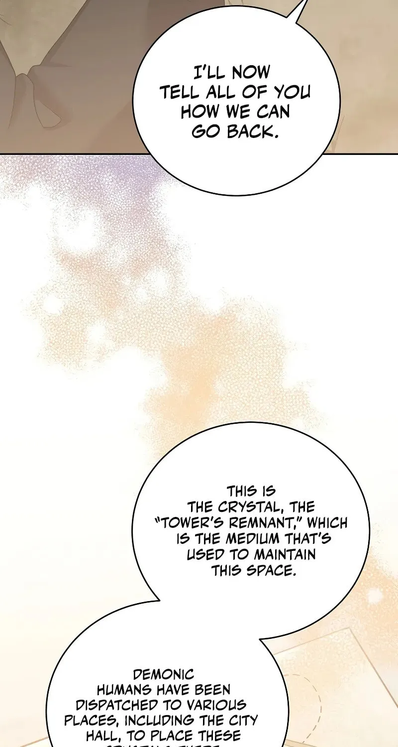 The Novel