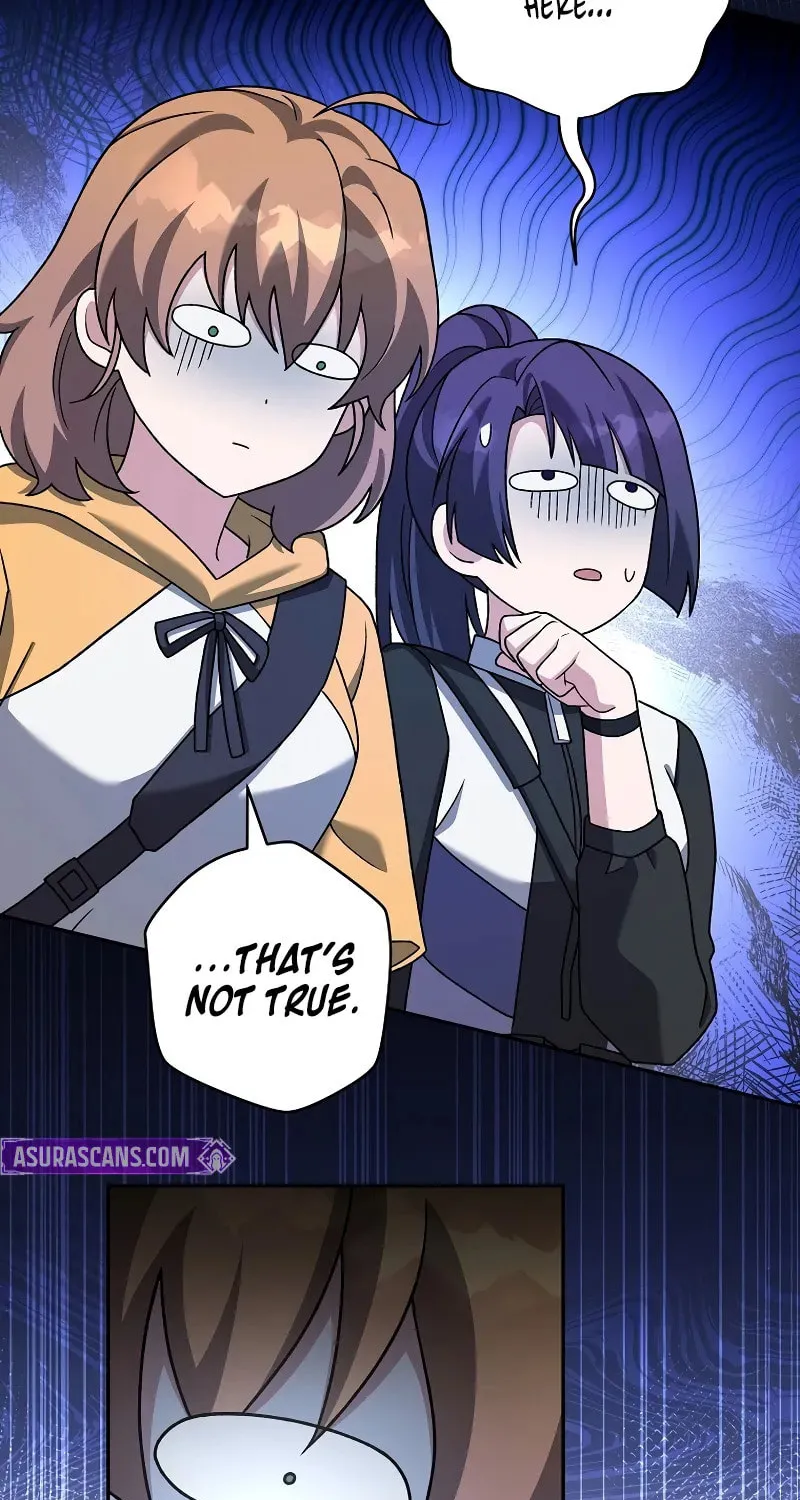 The Novel