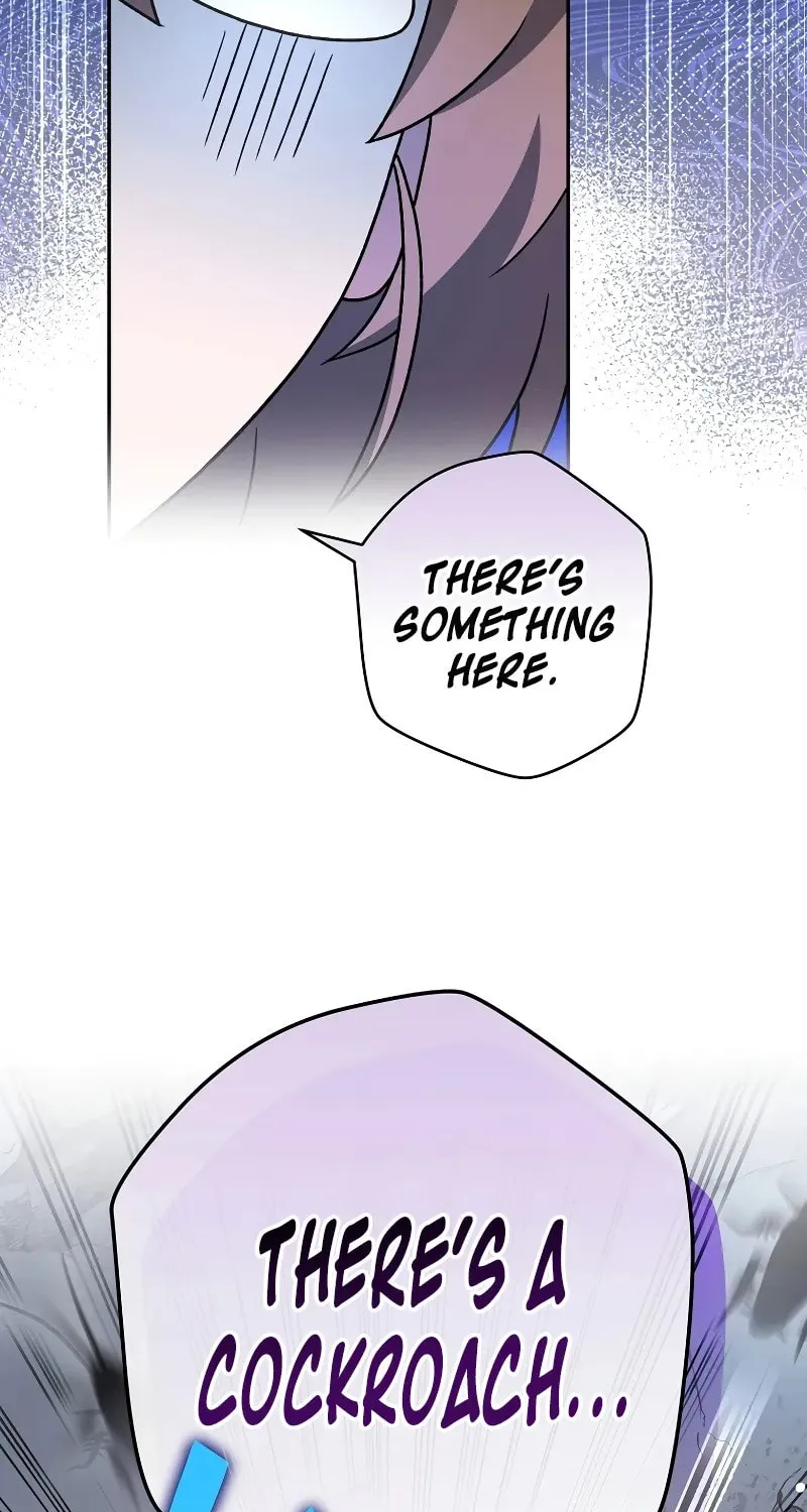 The Novel