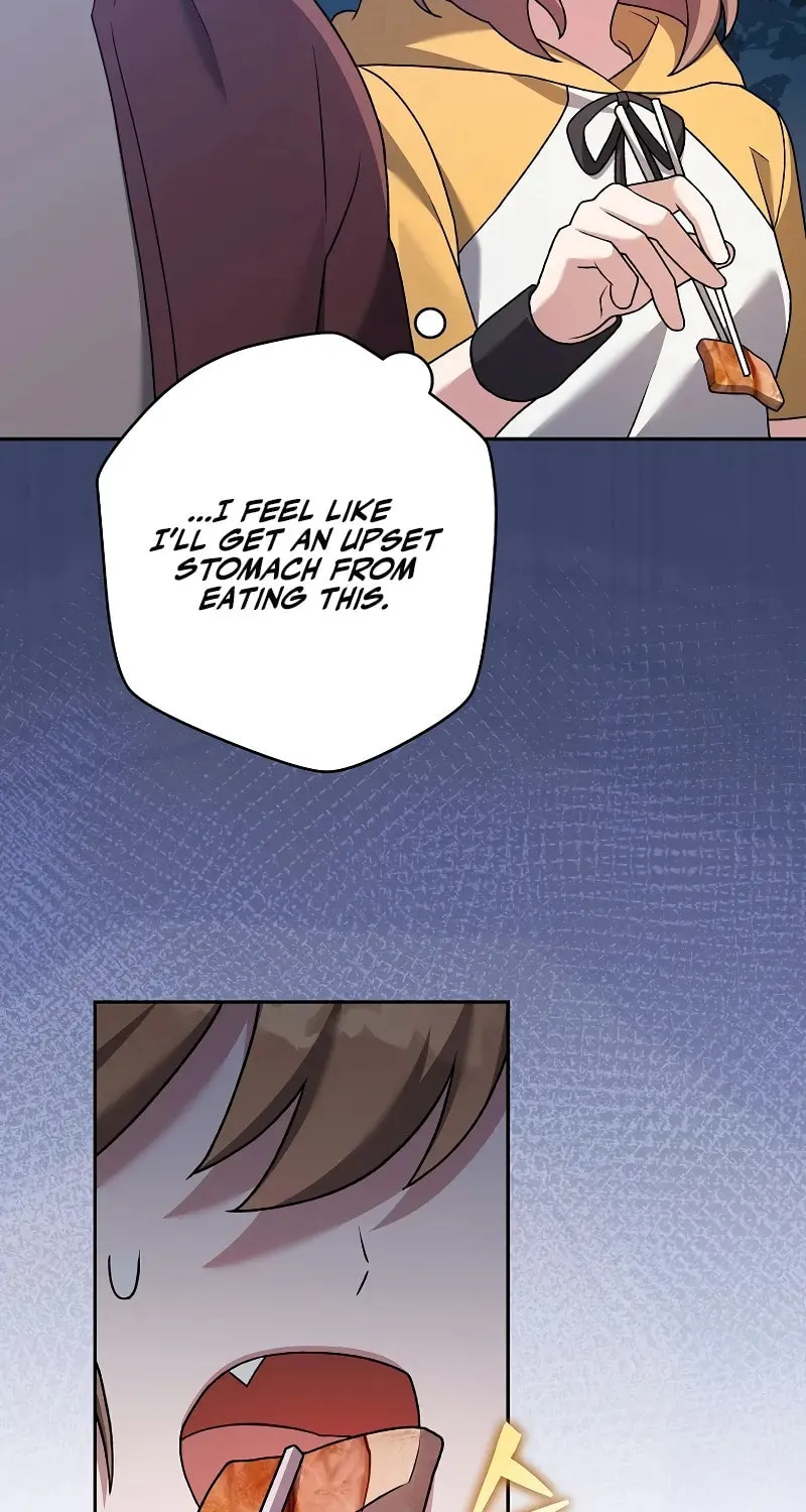 The Novel