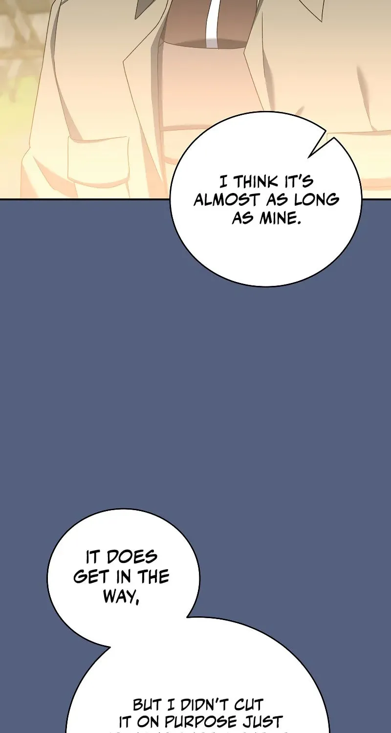 The Novel