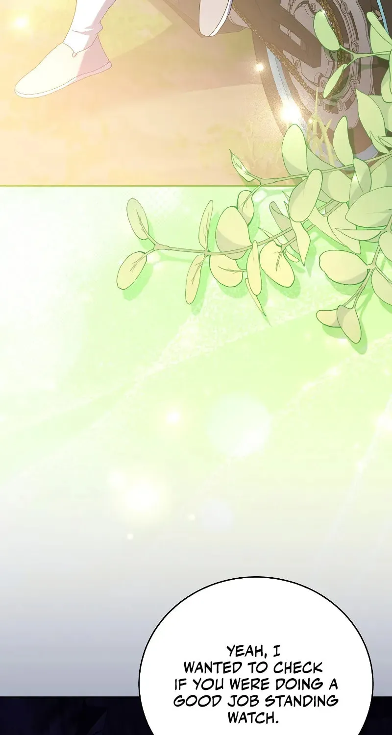 The Novel