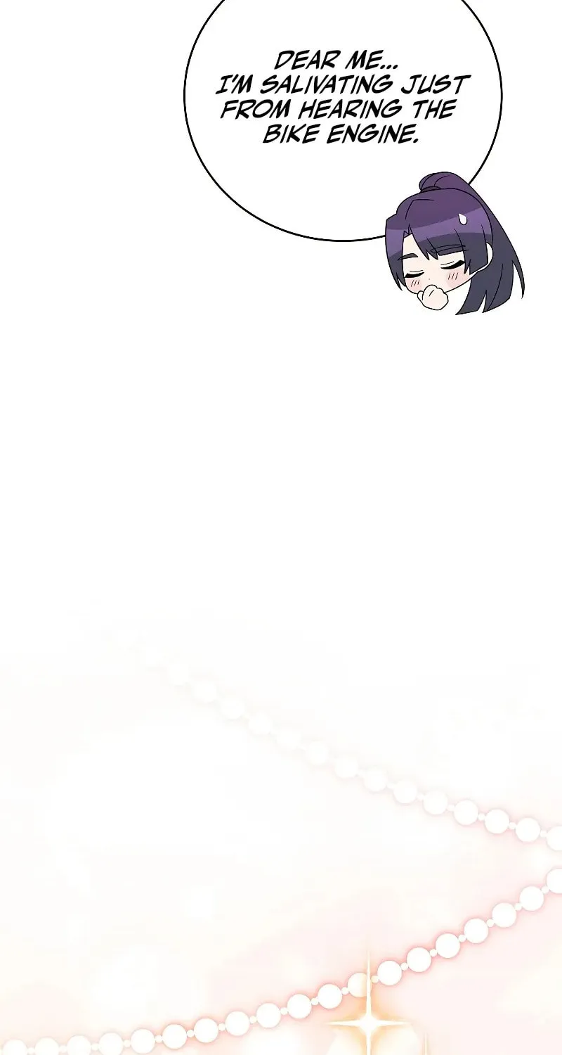 The Novel