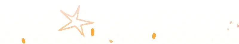 The Novel