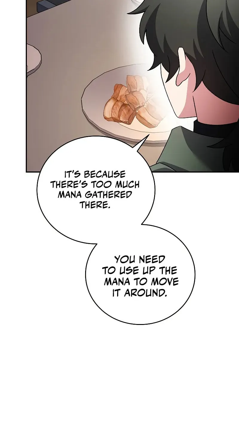 The Novel