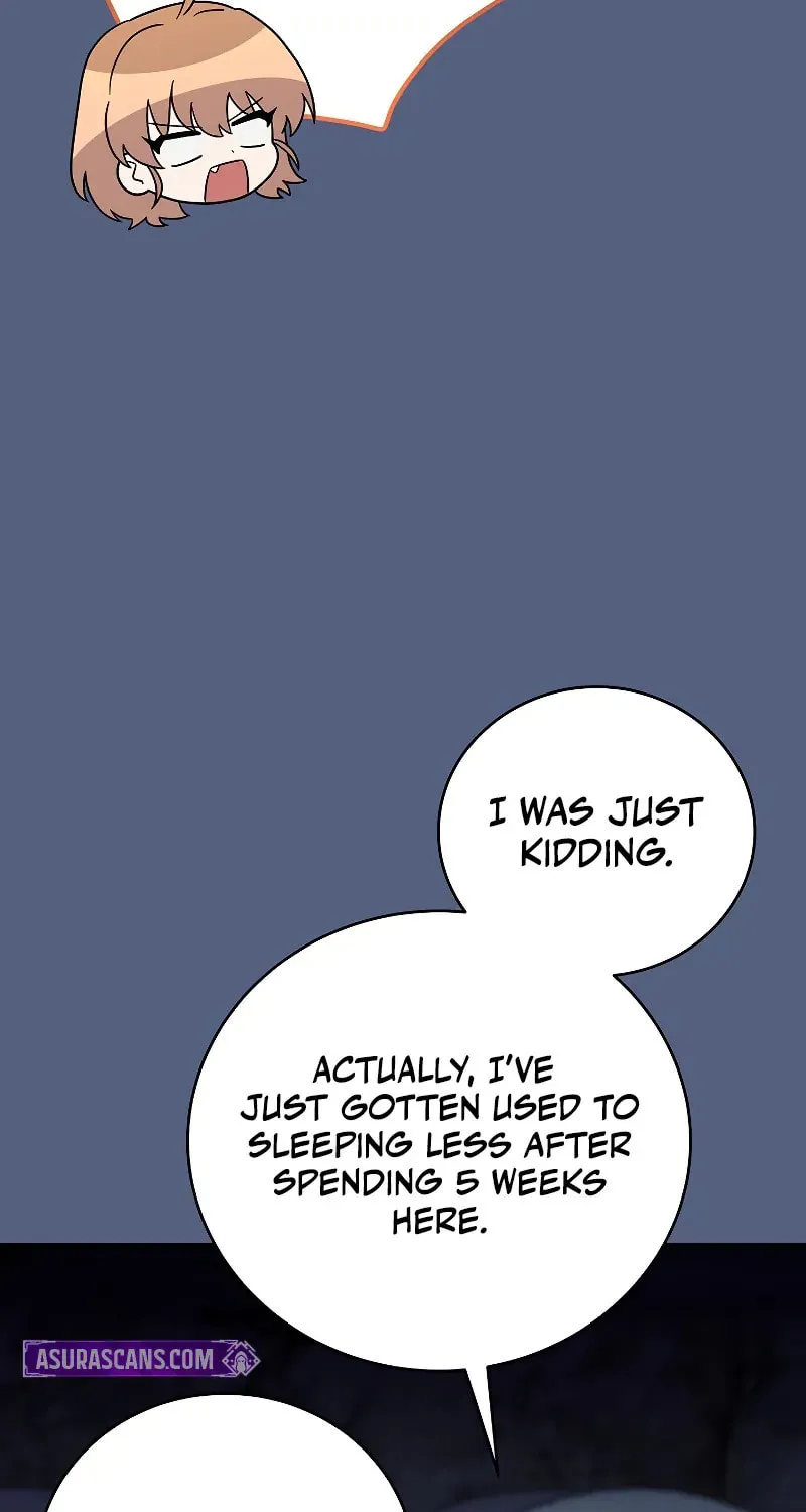 The Novel