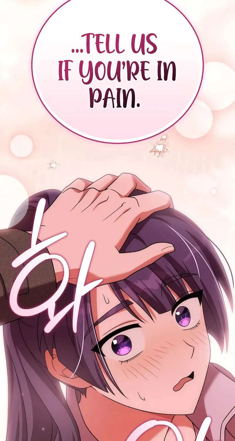 The Novel