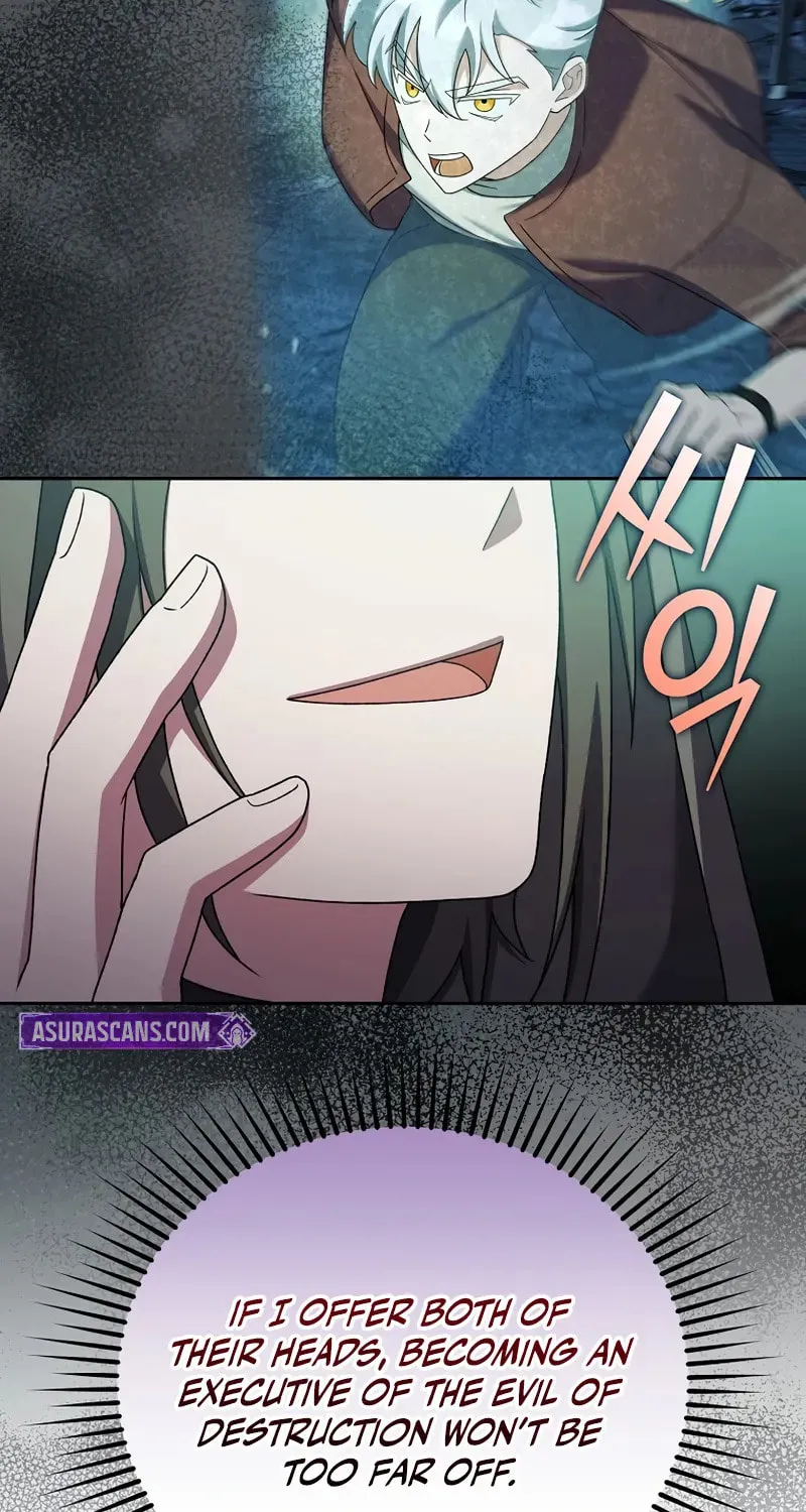 The Novel