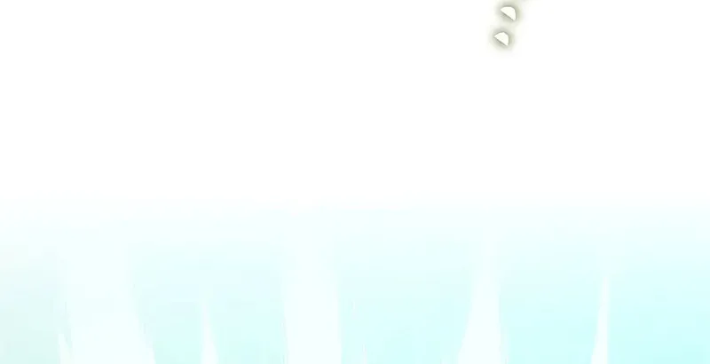 The Novel