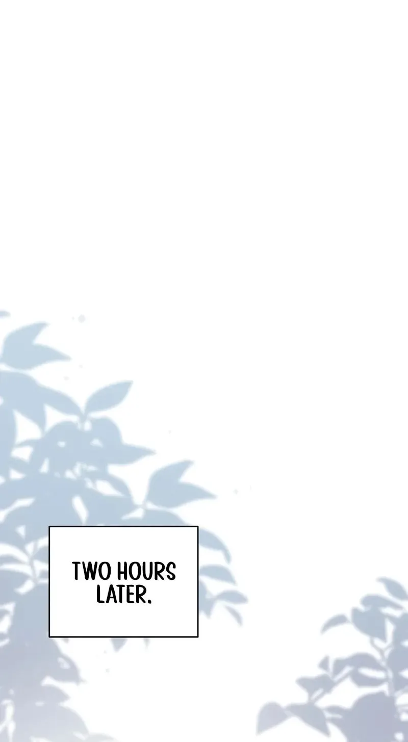 The Novel