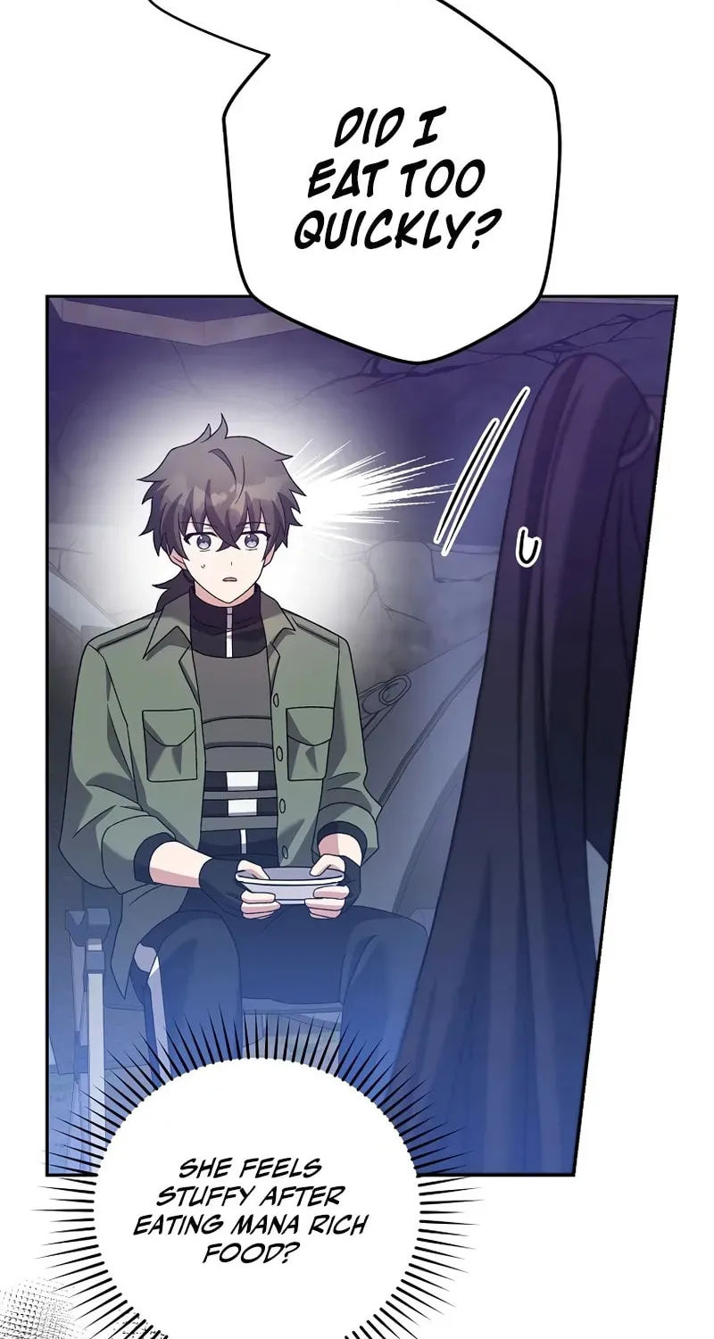 The Novel