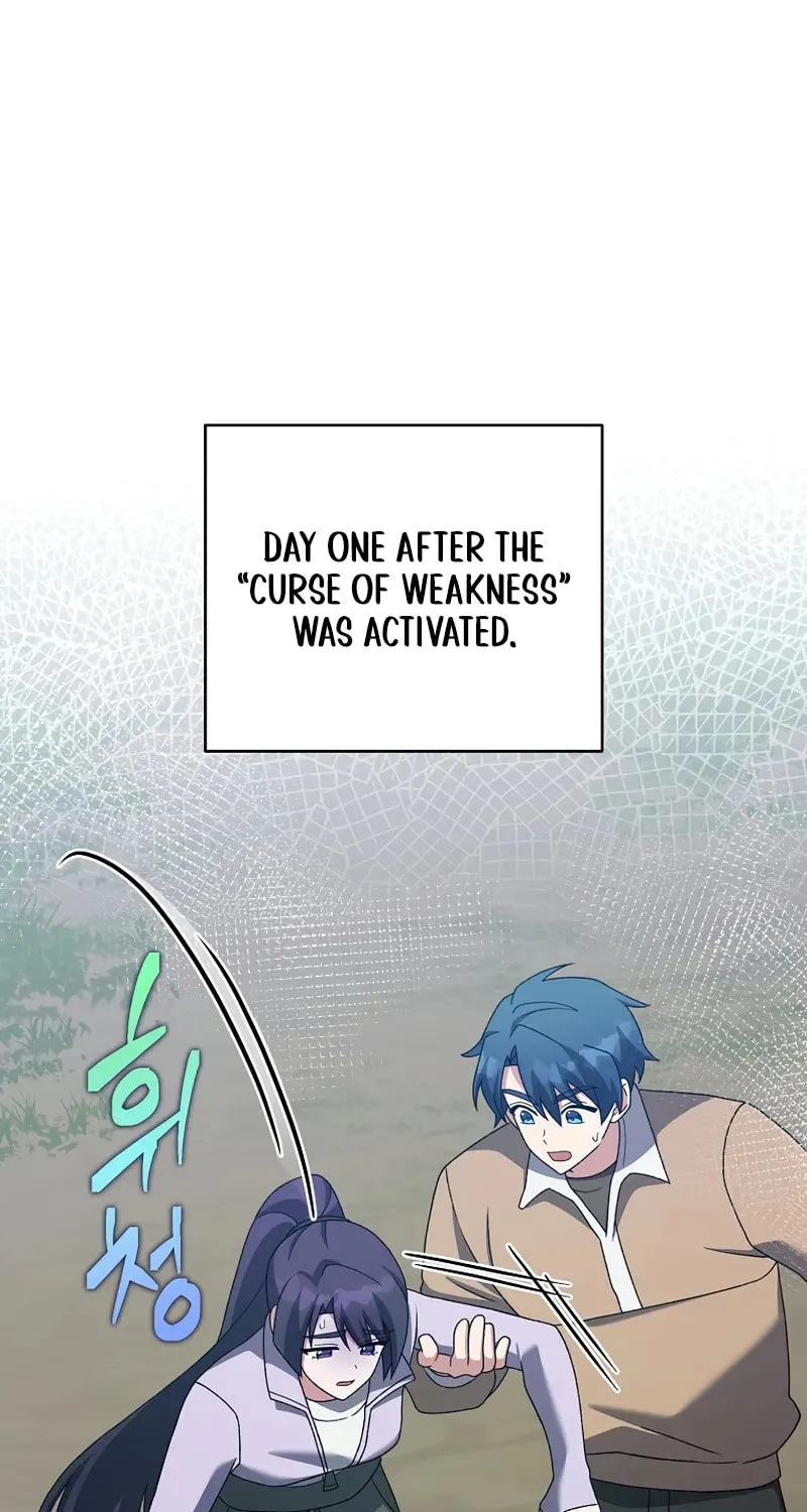 The Novel